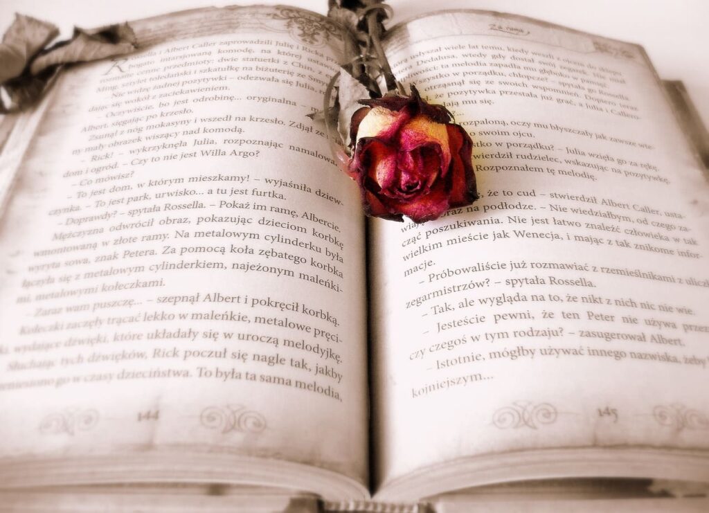 як обрати книгу