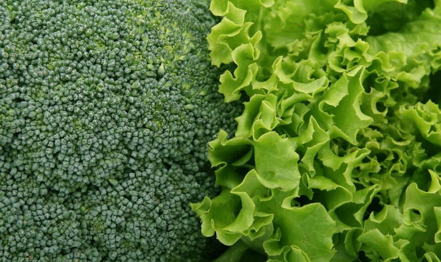 Тренд сезона: салат ‘Фризе’, который делает любое блюдо изысканным!