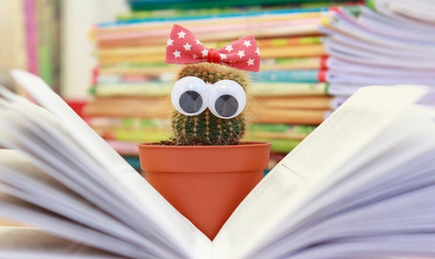 Этот метод обучения изменит вашу жизнь — любое ремесло за месяц!