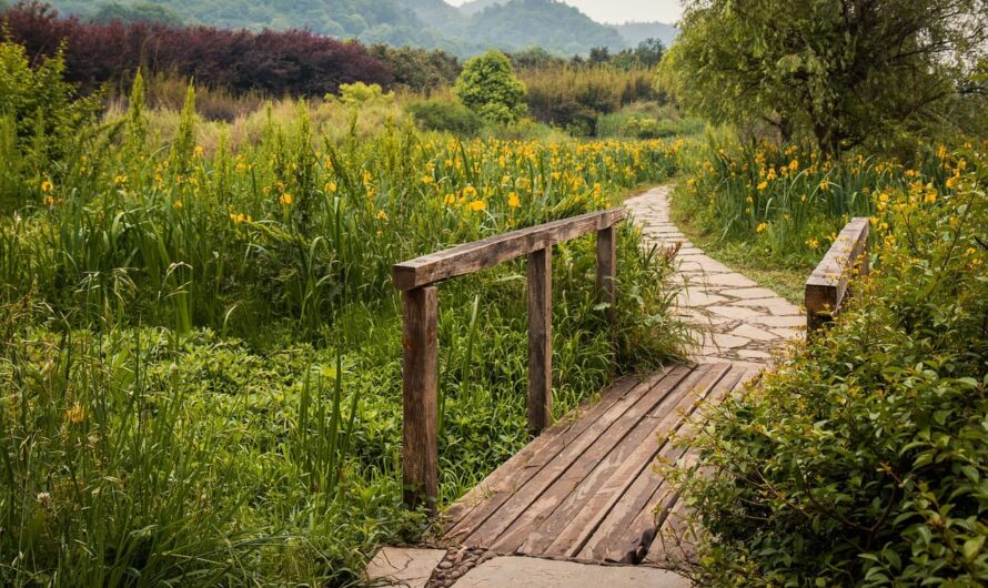 Гравий или брусчатка? Как создать прочные дорожки, которые не боятся дождей и морозов!