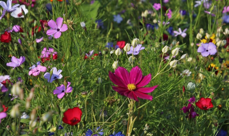 То, что вы выбрасываете, может спасти ваш сад