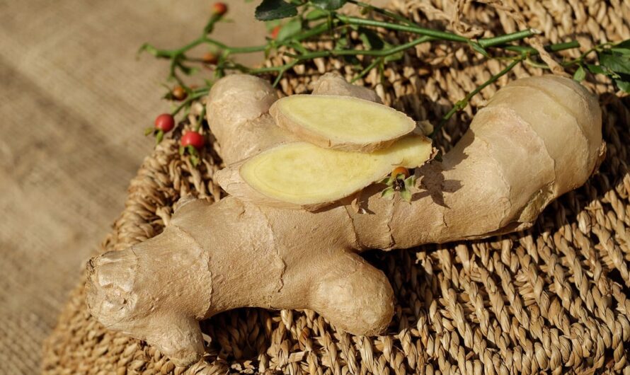 Травы, которые укрепляют иммунитет: открой для себя природную силу