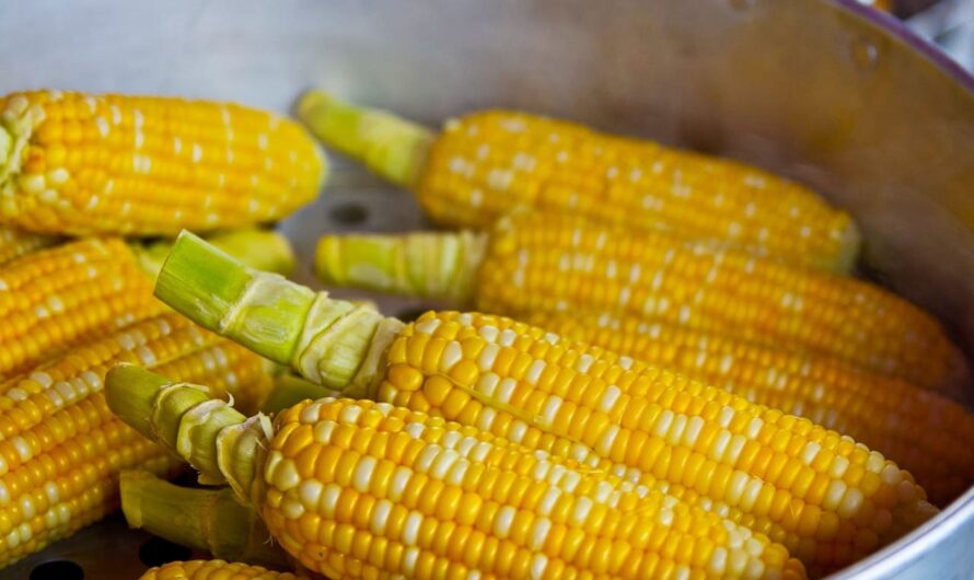 Успішне вирощування кукурудзи: найкращі поради