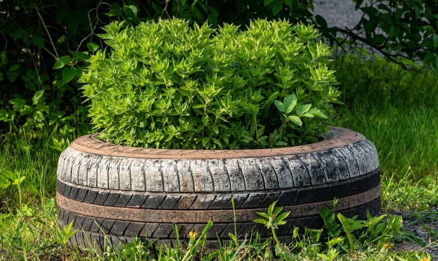 Три уровня, три цвета, один результат: как сделать вашу клумбу шедевром!