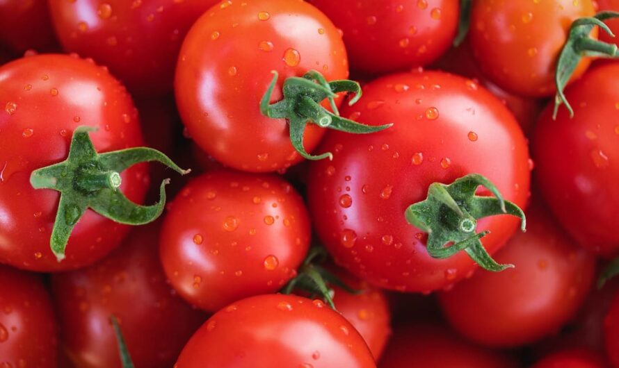 Геніальний метод посадки помідорів: спробуйте це, і ви забудете про невдачі!