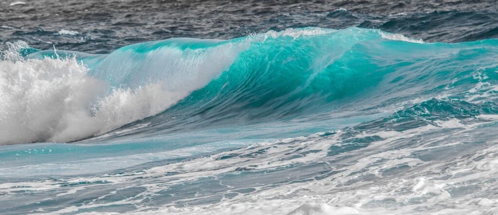 Чим особливі водяні знаки?
