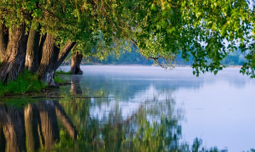 Как ухаживать за ландшафтом круглый год: от весны до зимы