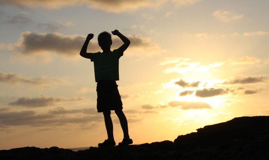 Тайны успеха Тельцов: как добиться карьерного роста без лишних усилий?