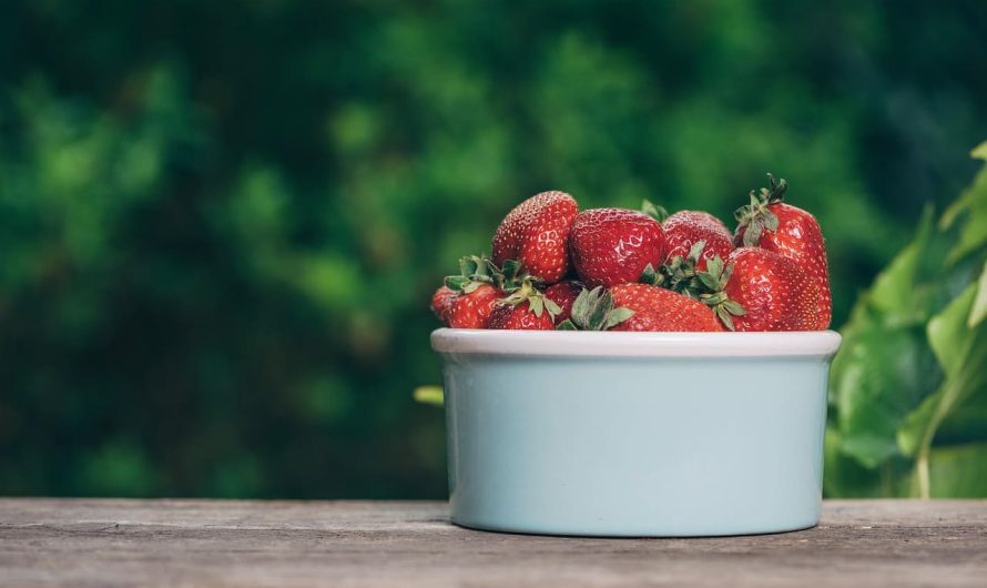 Лайфхак для занятых: быстрые перекусы, спасающие в любой ситуации