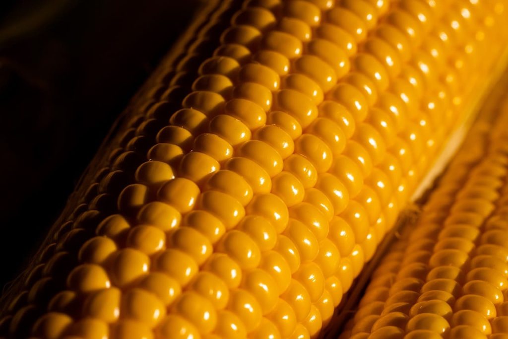 ідеальний салат