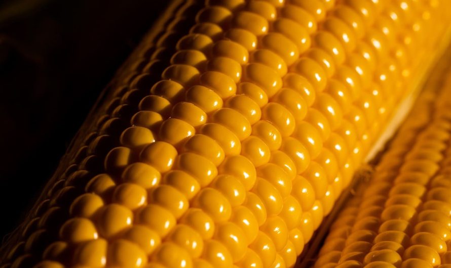 Цей простий салат із крабовими паличками та кукурудзою стане зіркою вашого столу!