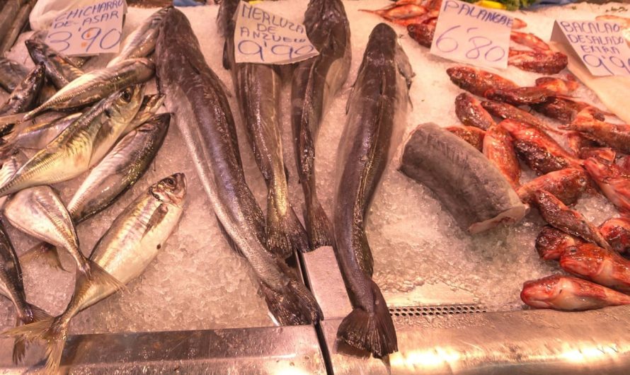 Диетический и вкусный хек, который есть даже дети! Готовьте прямо сейчас