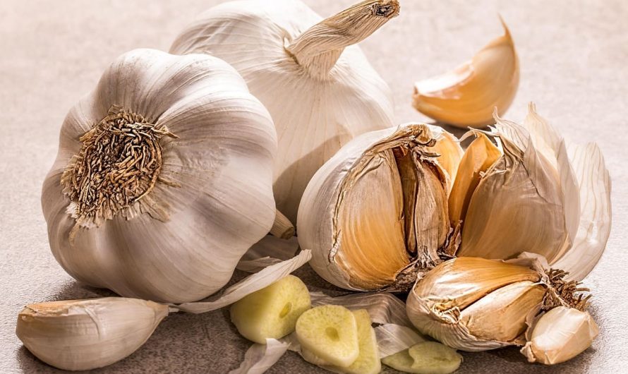 Садовый чеснок вырастет большим: какие удобрения использовать при посадке