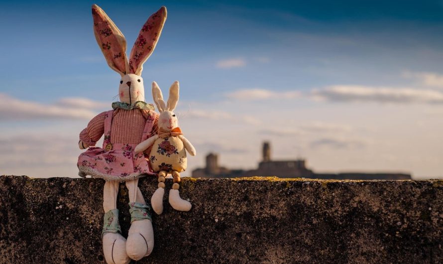 Зачем покупать, если можно сделать? Простой способ создать игрушки для животных своими руками!