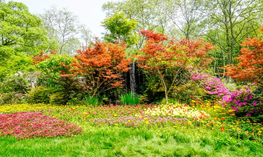 Літній догляд за садом: як отримати багатий врожай без зайвих зусиль