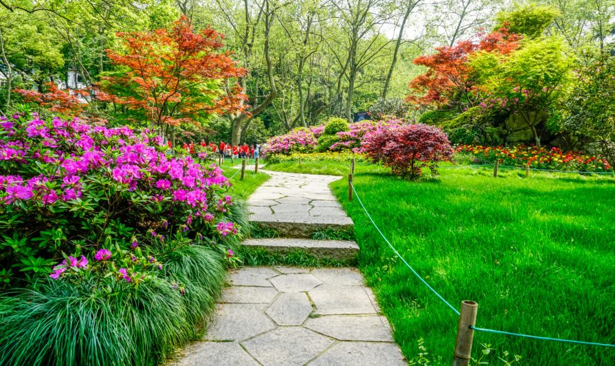 Сад, у який закохається кожен: секрети ідеального дачного стилю