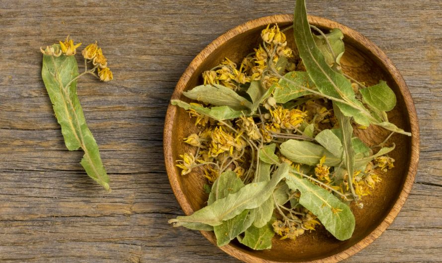 Тепло в чашці: як рослини допомагають перемогти застуду