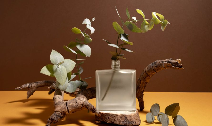 Ці парфуми зведуть з розуму у 2025! ТОП ароматів, які обожнюють жінки