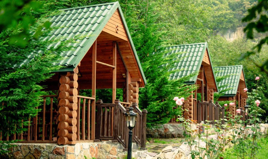 Секрет ідеальних вихідних на дачі: поєднуємо роботу та релакс!