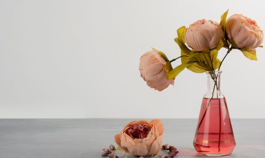 Наслаждайтесь цветами дольше – это просто, если знать несколько секретов!