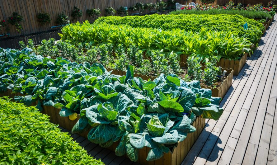 Грядки без мороки: як зробити зручно і красиво своїми руками