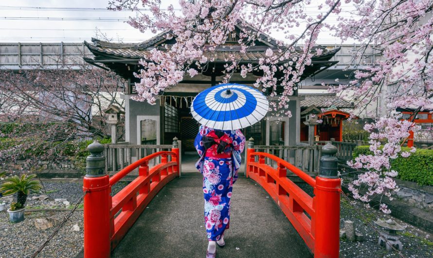 Ніхто не чекав, але це Японія змінила моду назавжди!