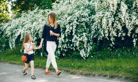 які рослини посадити