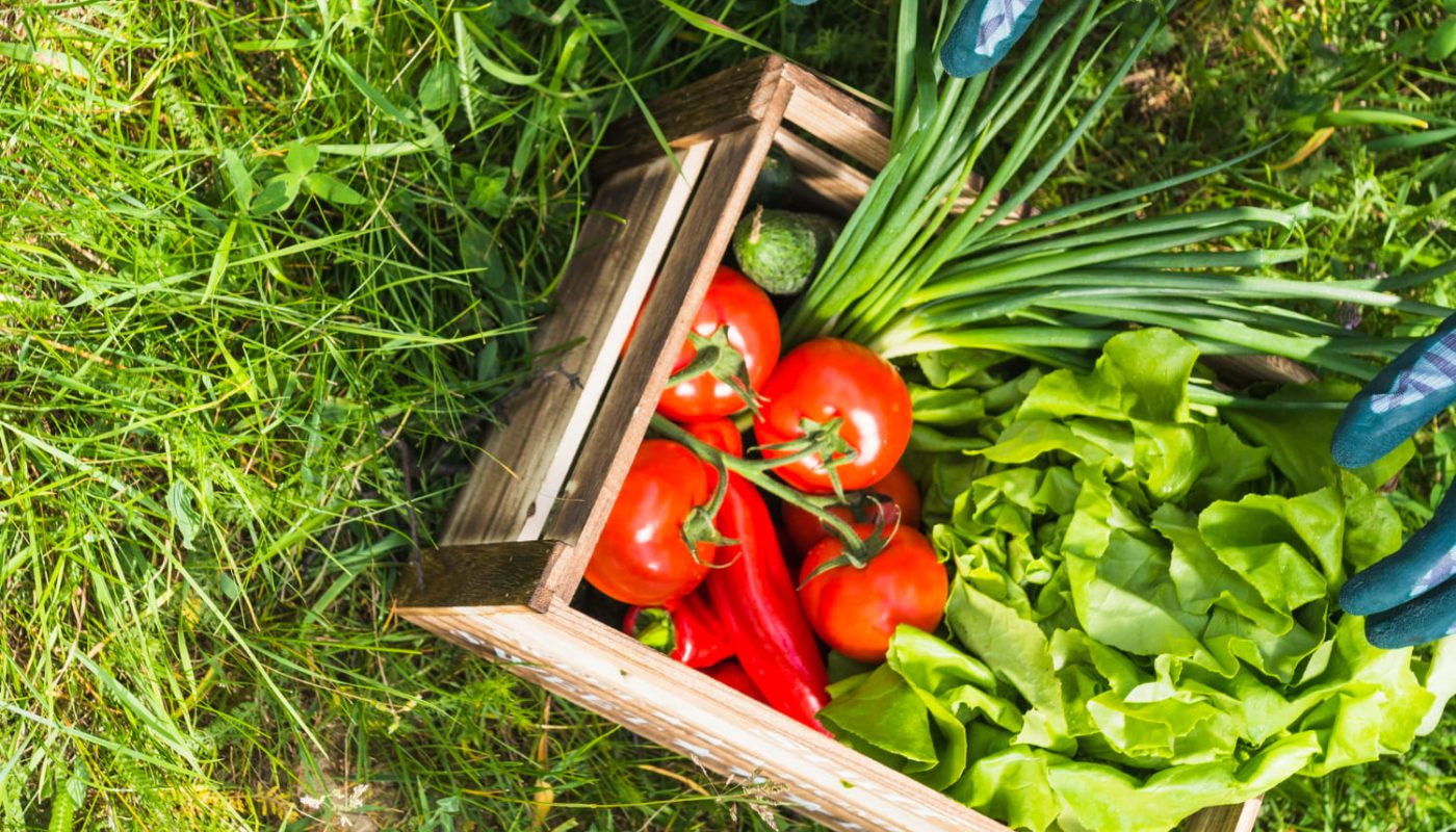 які овочі краще садити під зиму