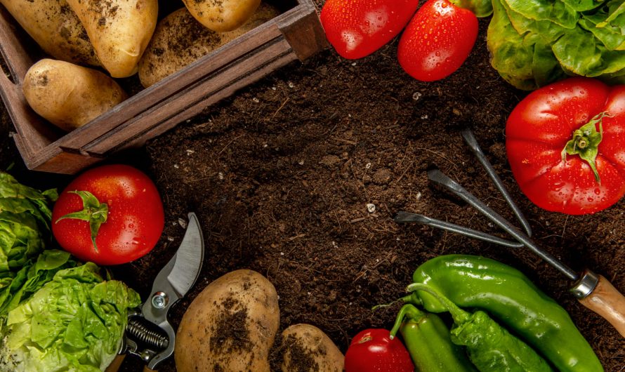 Все зі своєї грядки: чисті, смачні, натуральні овочі без зайвого клопоту
