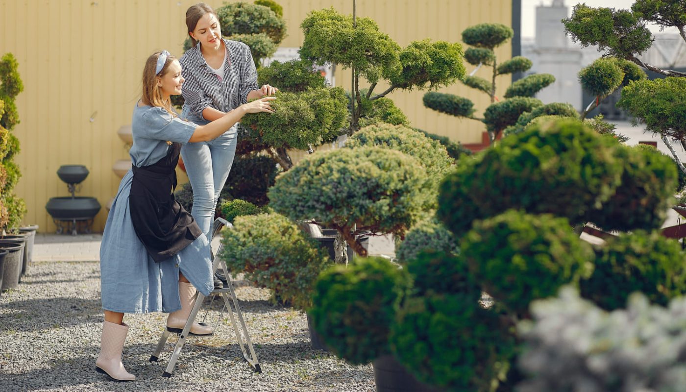 які рослини обирають