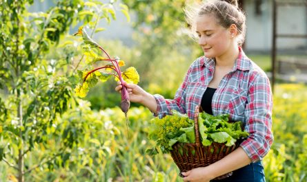 чо можно высаживать под зиму
