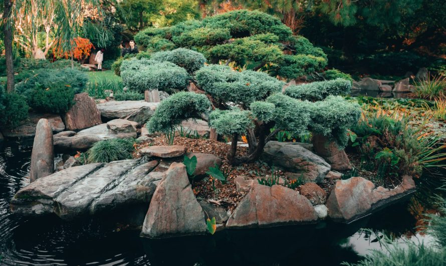 Не всі квіти для альпінарію однаково гарні: дізнайся, які справді підходять!