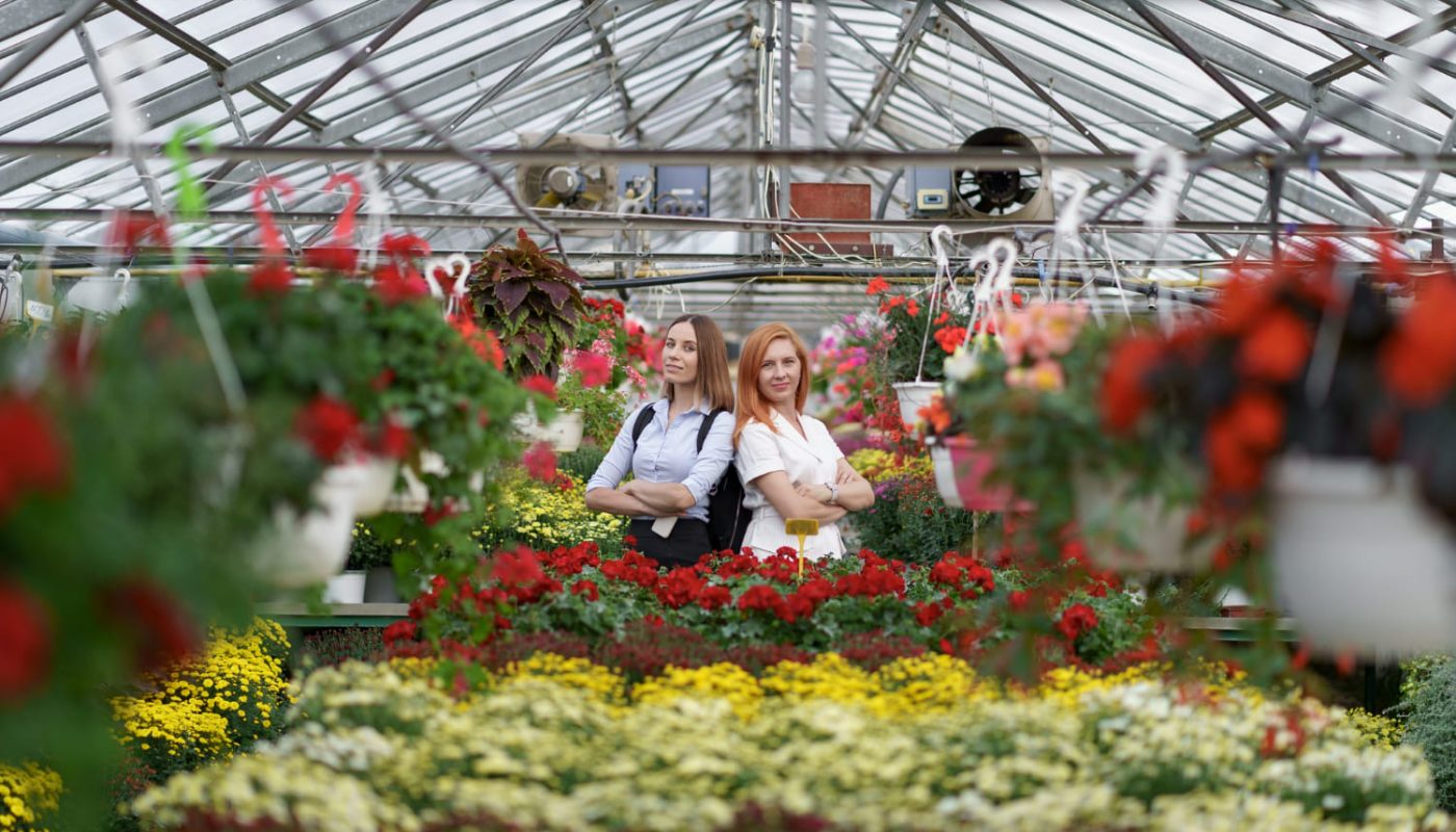 как сделать оранжерею