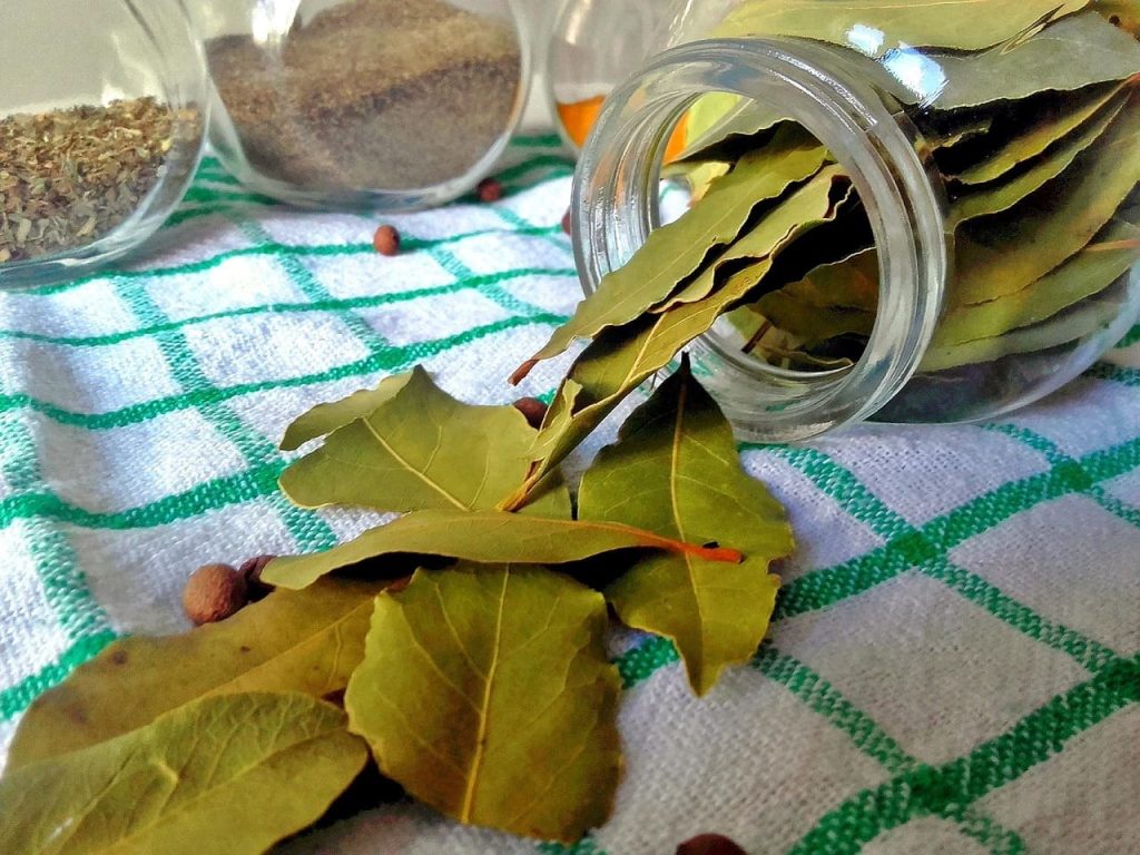 лавровый лист для укрепления почвы