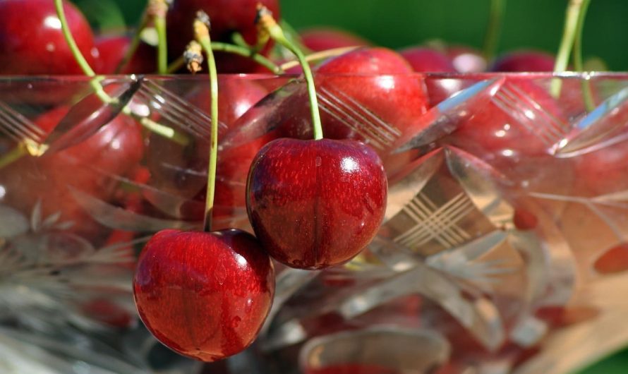 Готуйте щоліта: простий і дуже смачний компот із черешні