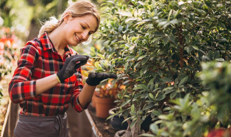 Нові методи садівництва які збільшують врожай у два рази