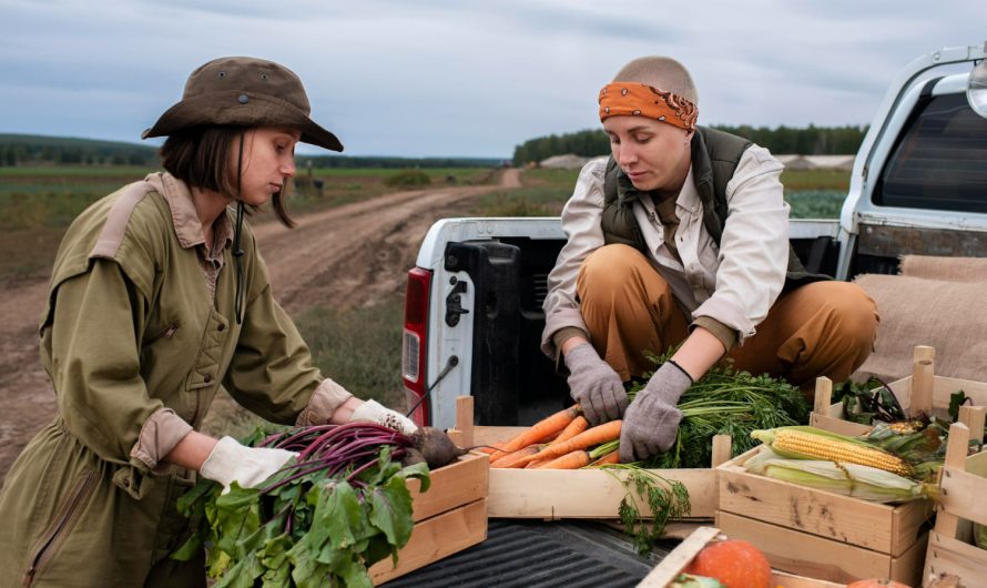 Помилки при зберіганні врожаю, які можуть коштувати вам половини запасів