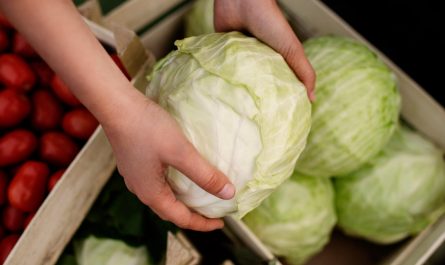 чому жовтіє листя капусти