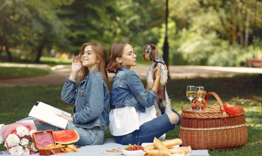 Пикник с минимальными затратами: что взять и как организовать