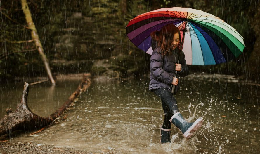 Как организовать идеальную коробку на случай дождя дома, в офисе и авто