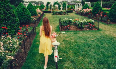 як правильно спланувати сад