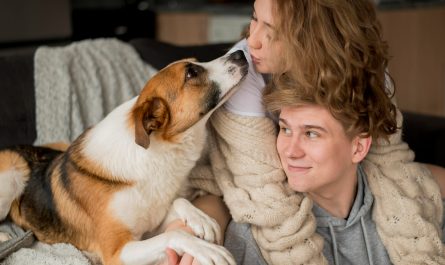 как организовать день домашнего питомца