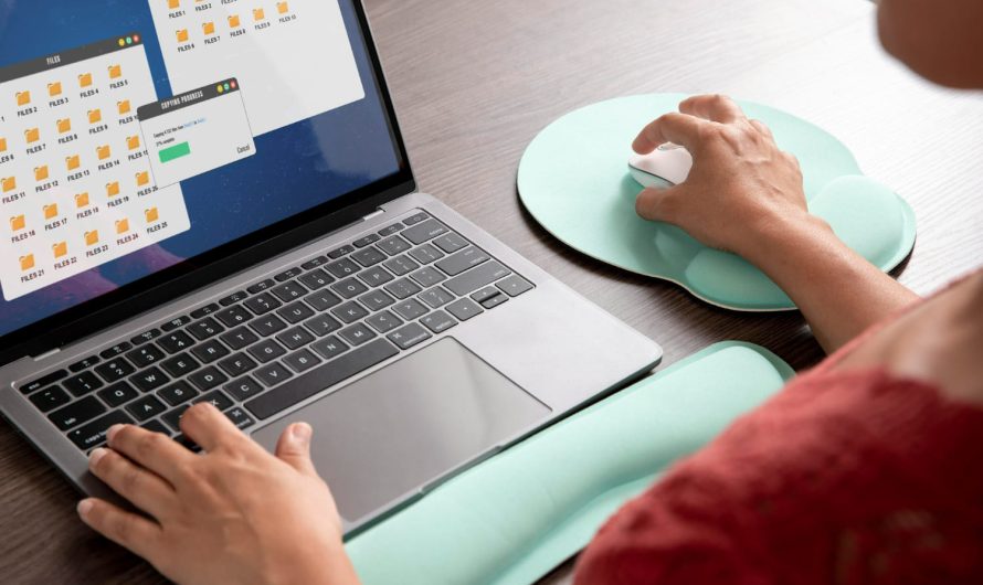 Как спасти все свои файлы за 10 минут: простой способ