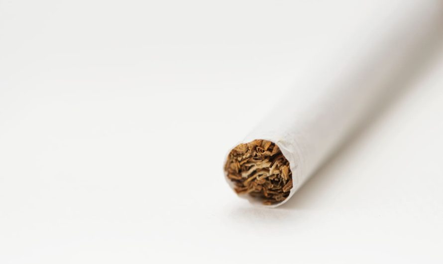 Все що треба знати про папір для самокруток