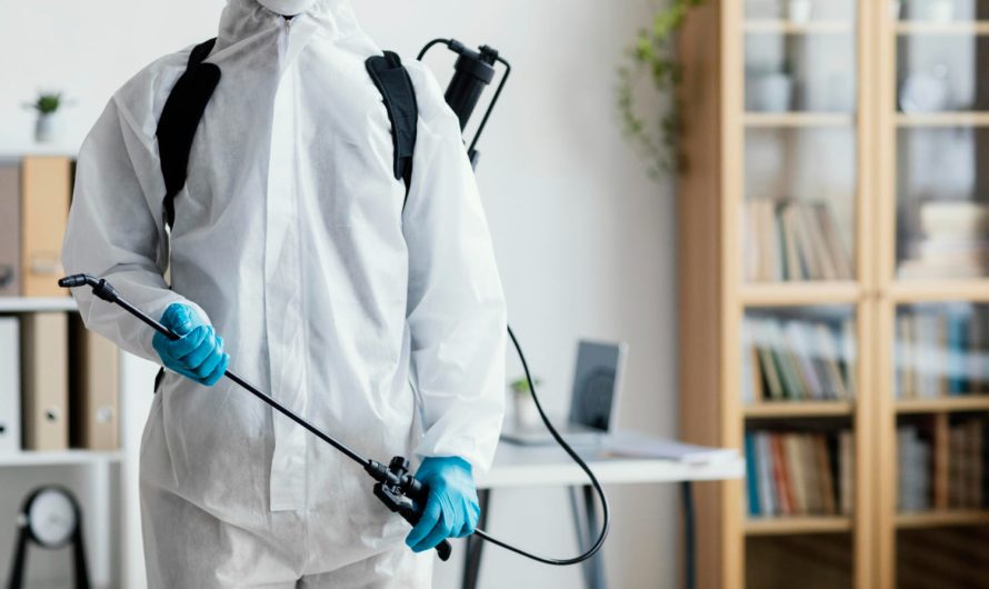 Знищення клопів та гризунів — професійні рішення для безпечного житла