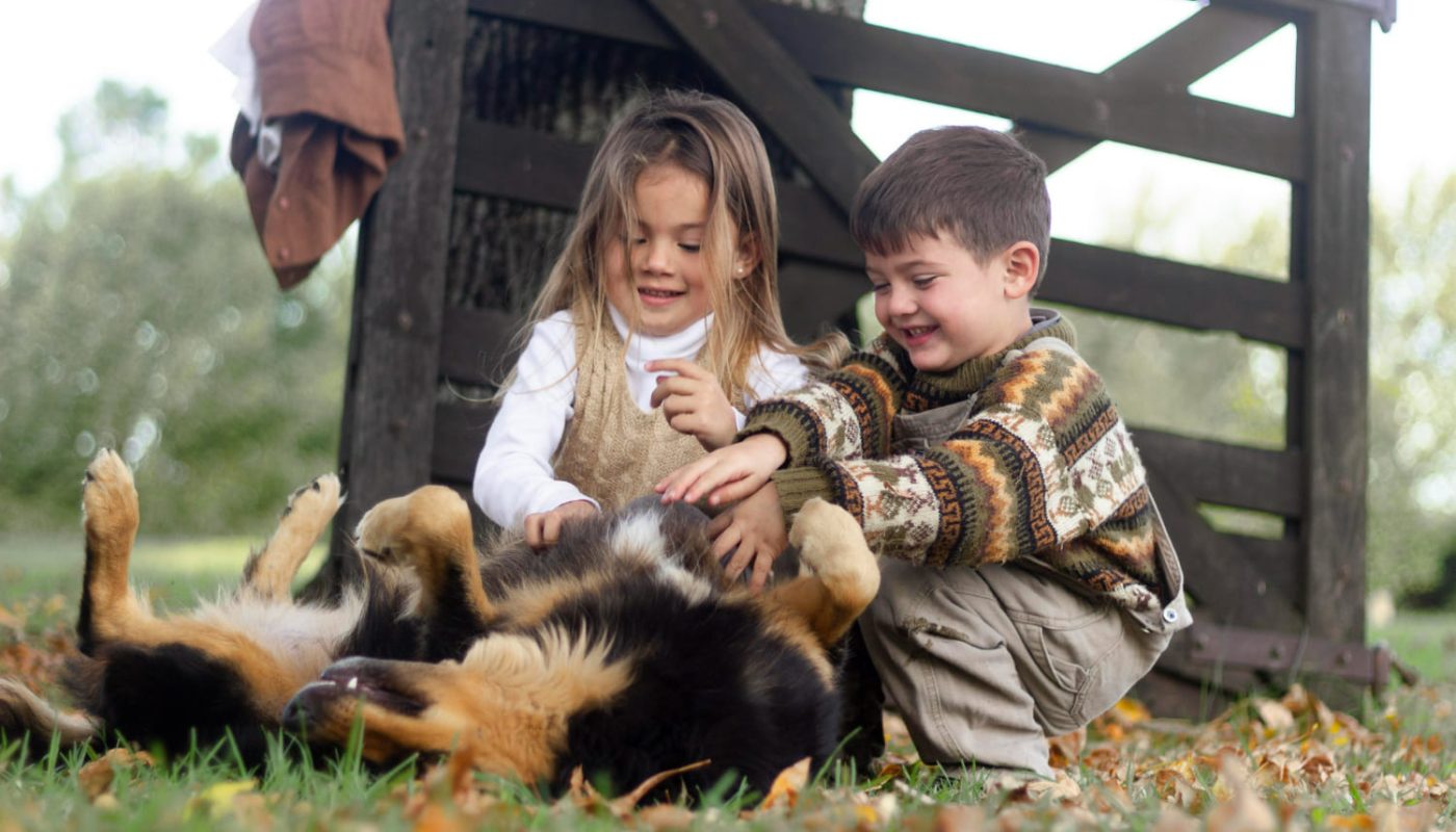Тварини на дачі