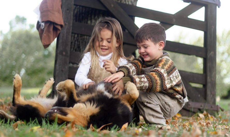 Что может навредить животному на даче: проверьте свой двор прямо сейчас