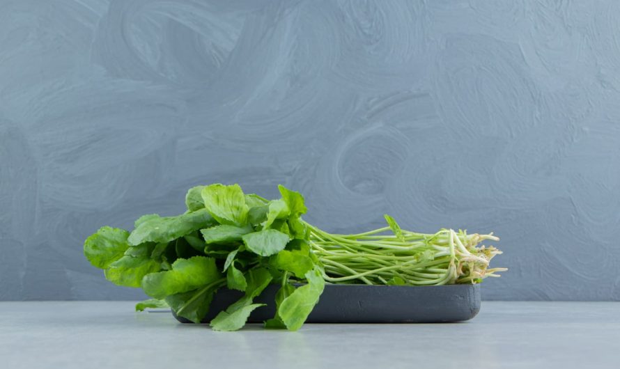 Как сохранить зелень свежей без холодильника: секрет, который знали еще бабушки