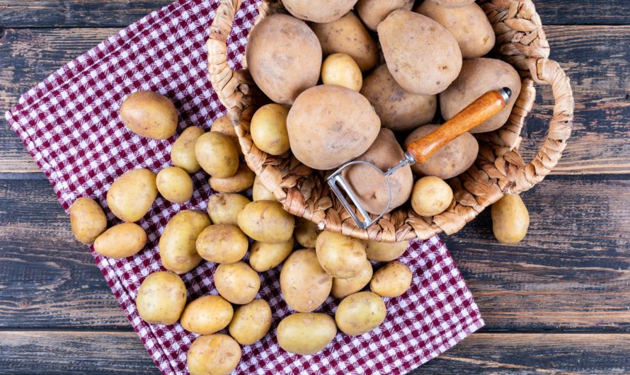 Картопля вродила дрібна: що пішло не так