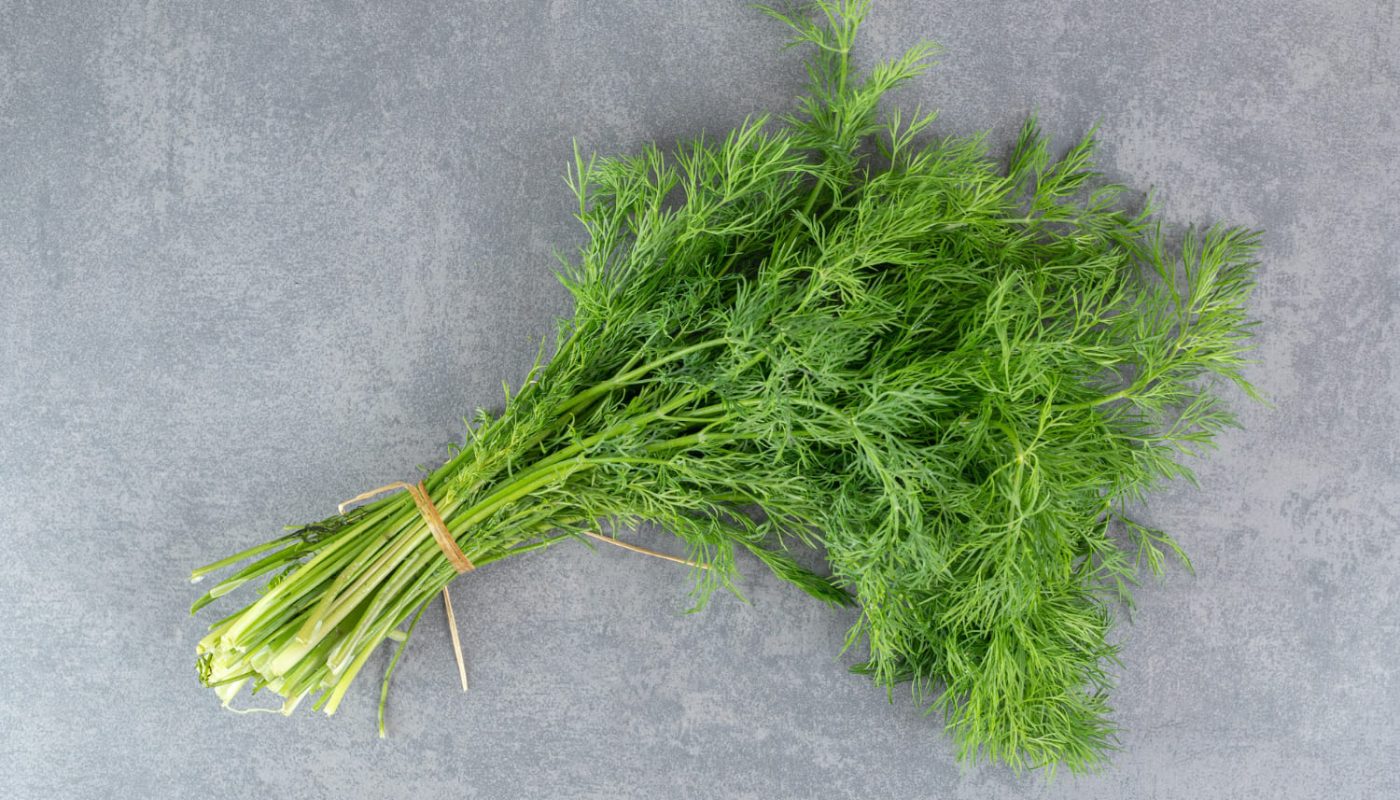 укроп